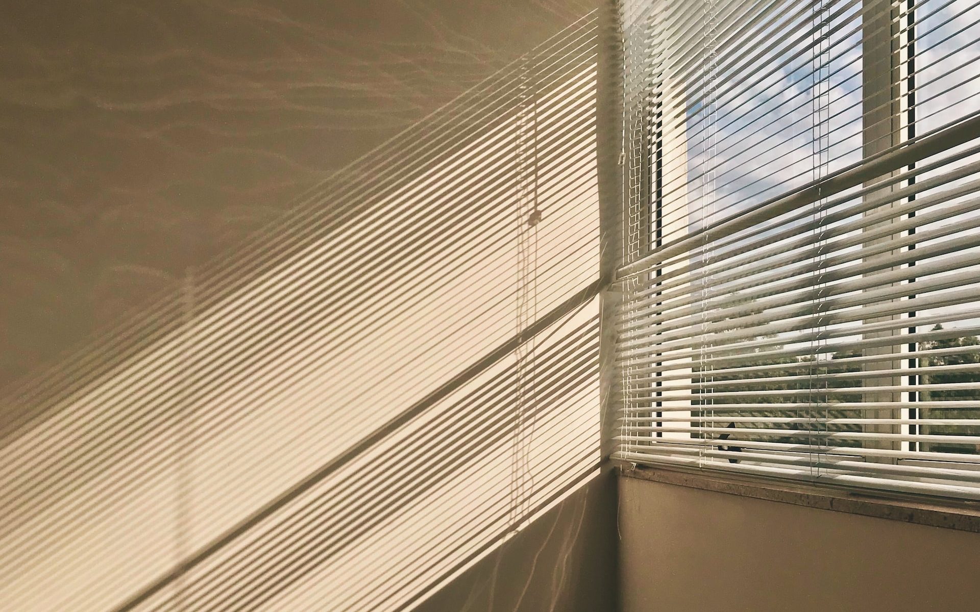 white window blinds on window